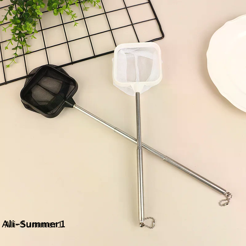 Épuisette de pêche télescopiqu - Landing Net Telescopic avis et prix