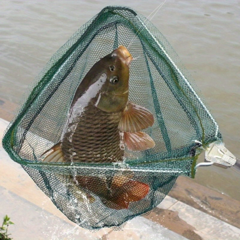 Épuisette de pêche triangulair - Landing Net Telescopic avis et prix