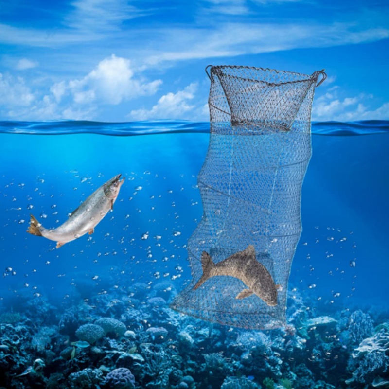 Nouveau Piège Télescopique Pli - Landing Net Telescopic avis et prix