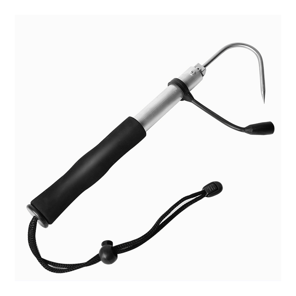 L # /M # /S #   Gaff télescopi - Landing Net Telescopic avis et prix